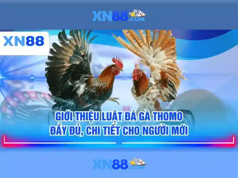 xn88 là gì - xn88 xn88 là gì - xn88