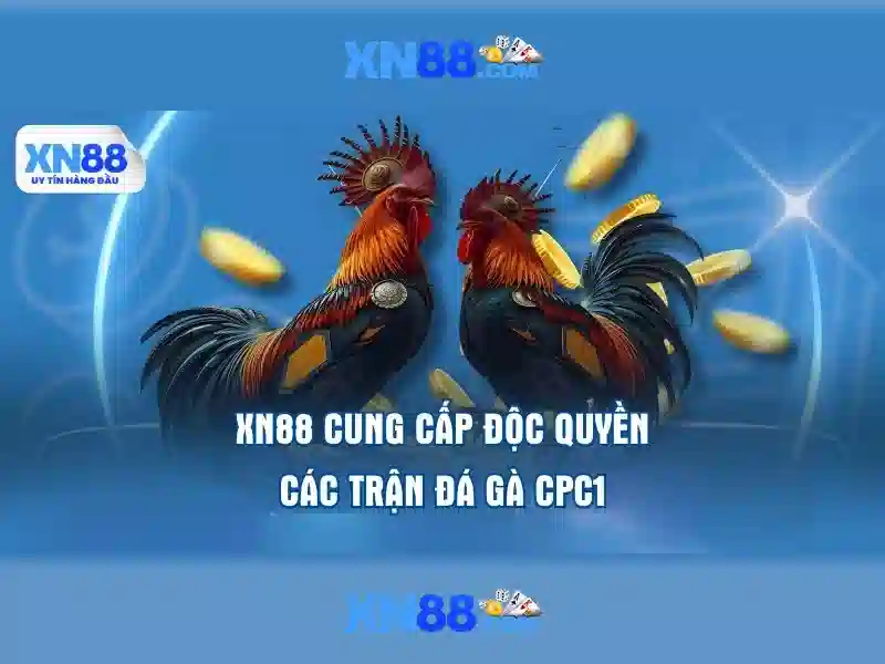 💎xem lai bong da keo nha cai💎 💎xem lai bong da keo nha cai💎