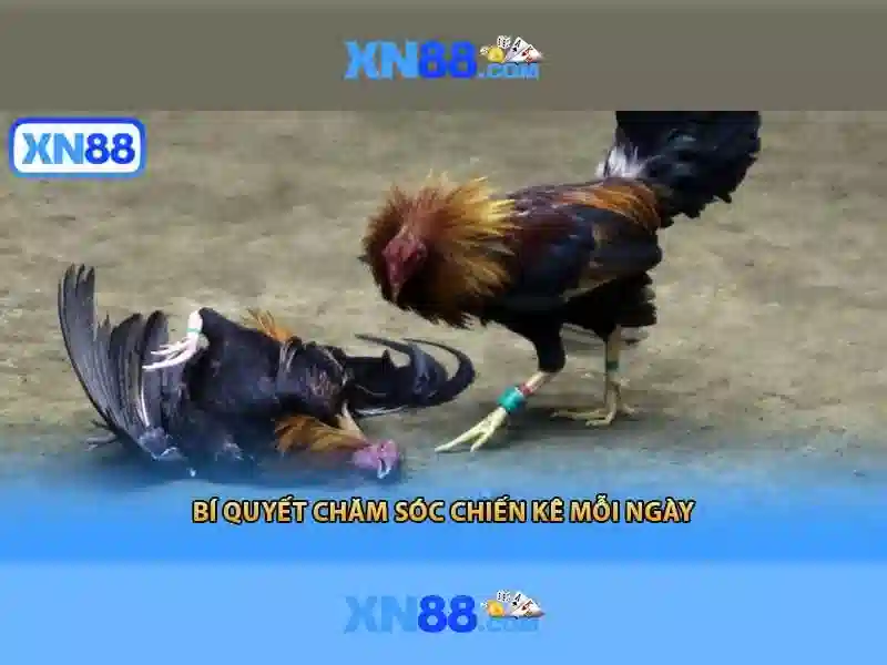 an toàn - xn88 an toàn - xn88