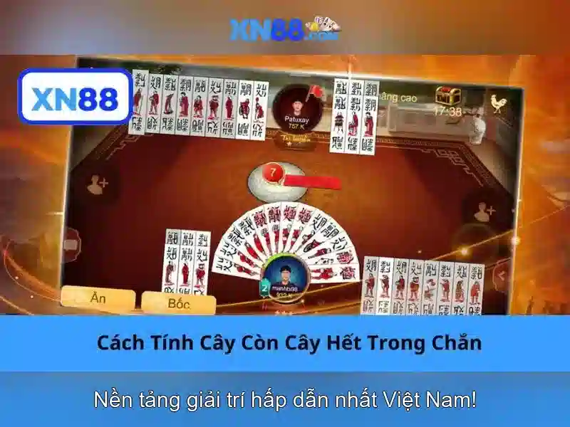 💎social.bet nhà cái tặng tiền💎 💎social.bet nhà cái tặng tiền💎