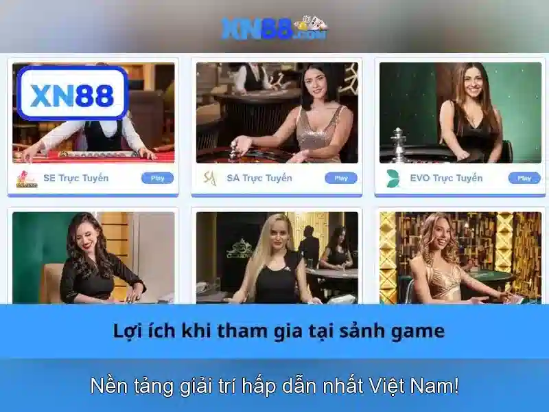 Trải nghiệm - xn88 Trải nghiệm - xn88