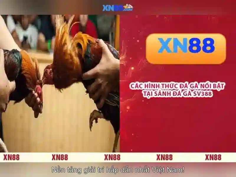 💎trang cá cược bóng đá àuop💎 💎trang cá cược bóng đá àuop💎